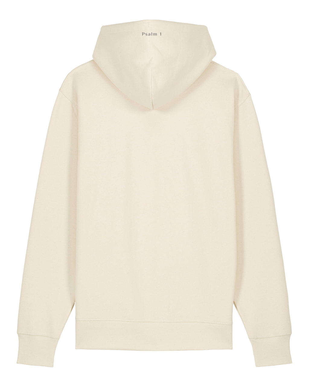 Prosper In All Things Hoodie