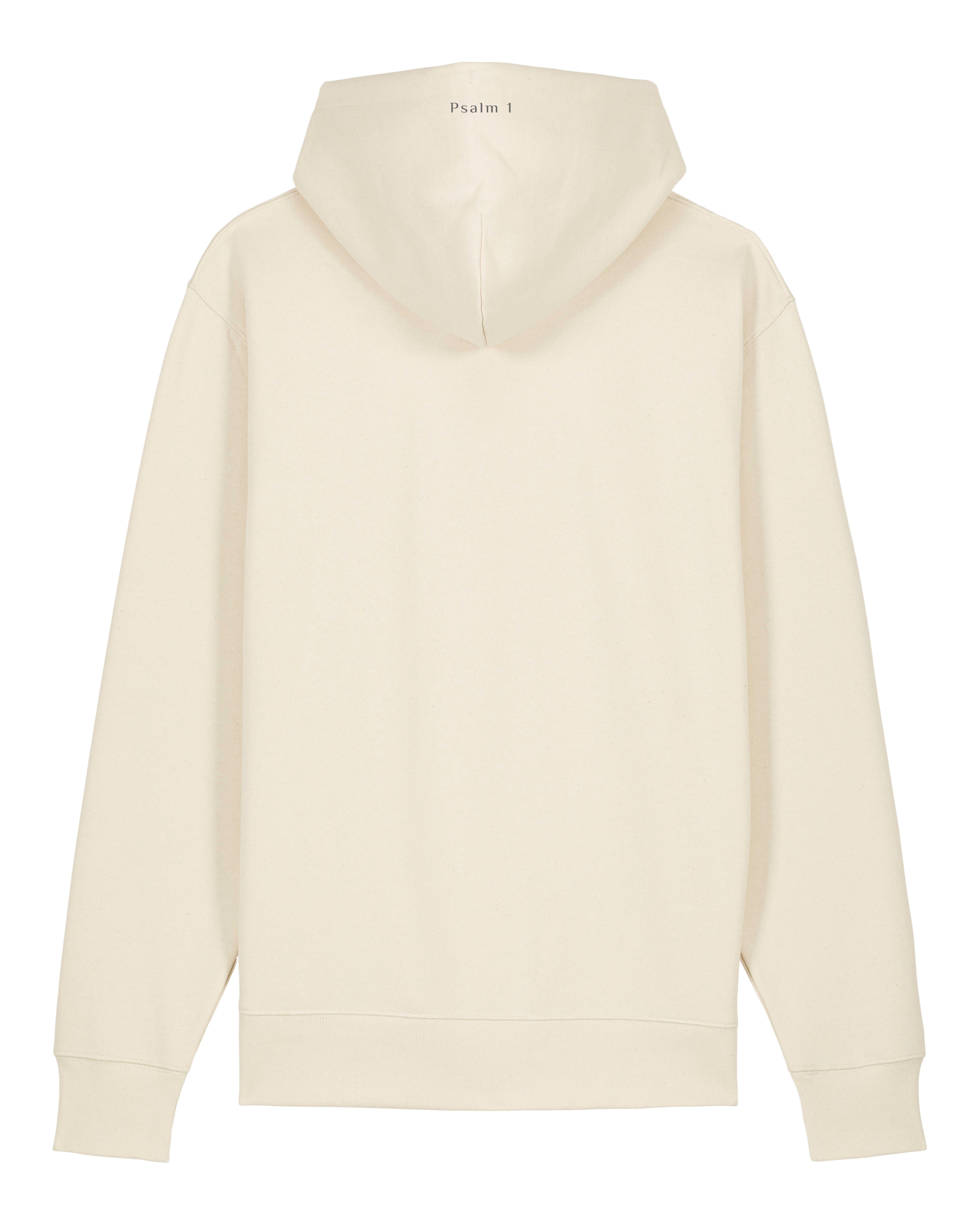Prosper In All Things Hoodie