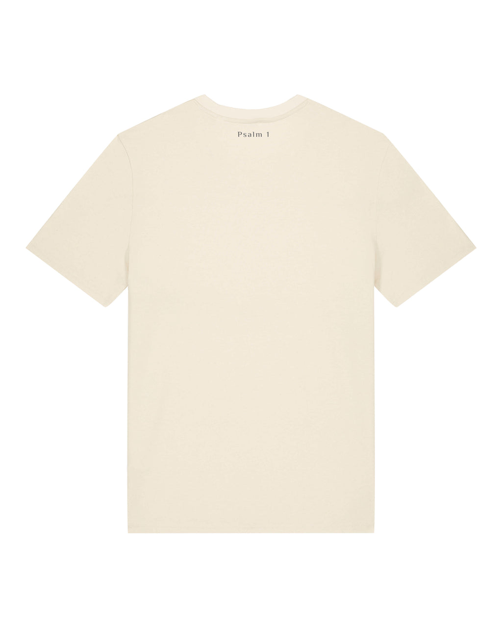 Prosper In All Things - T-shirt