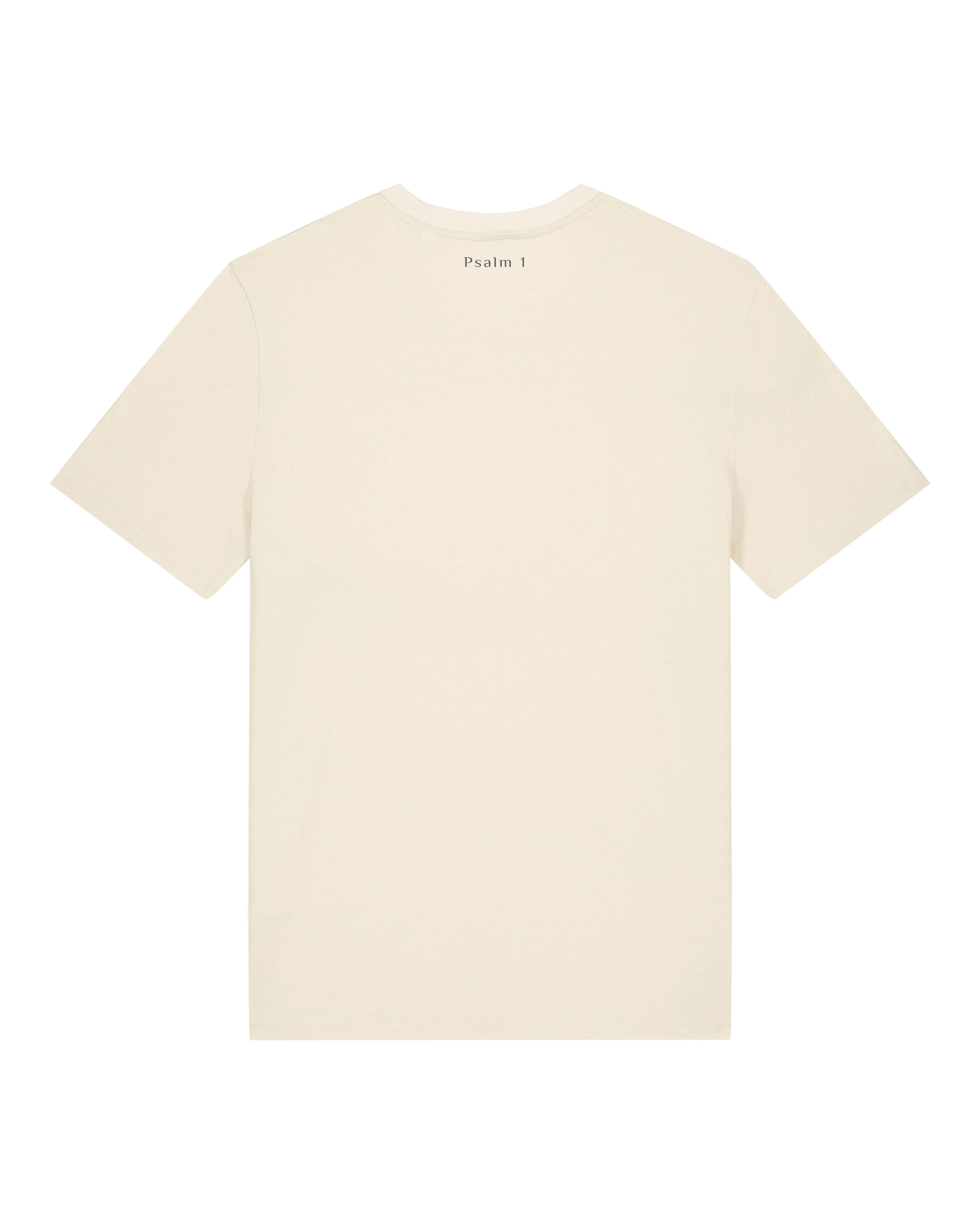 Prosper In All Things - T-shirt