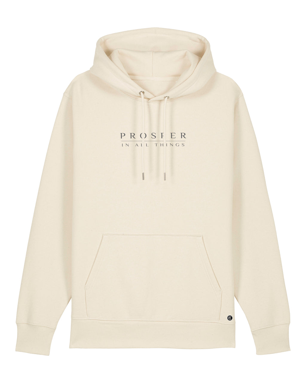 Prosper In All Things Hoodie