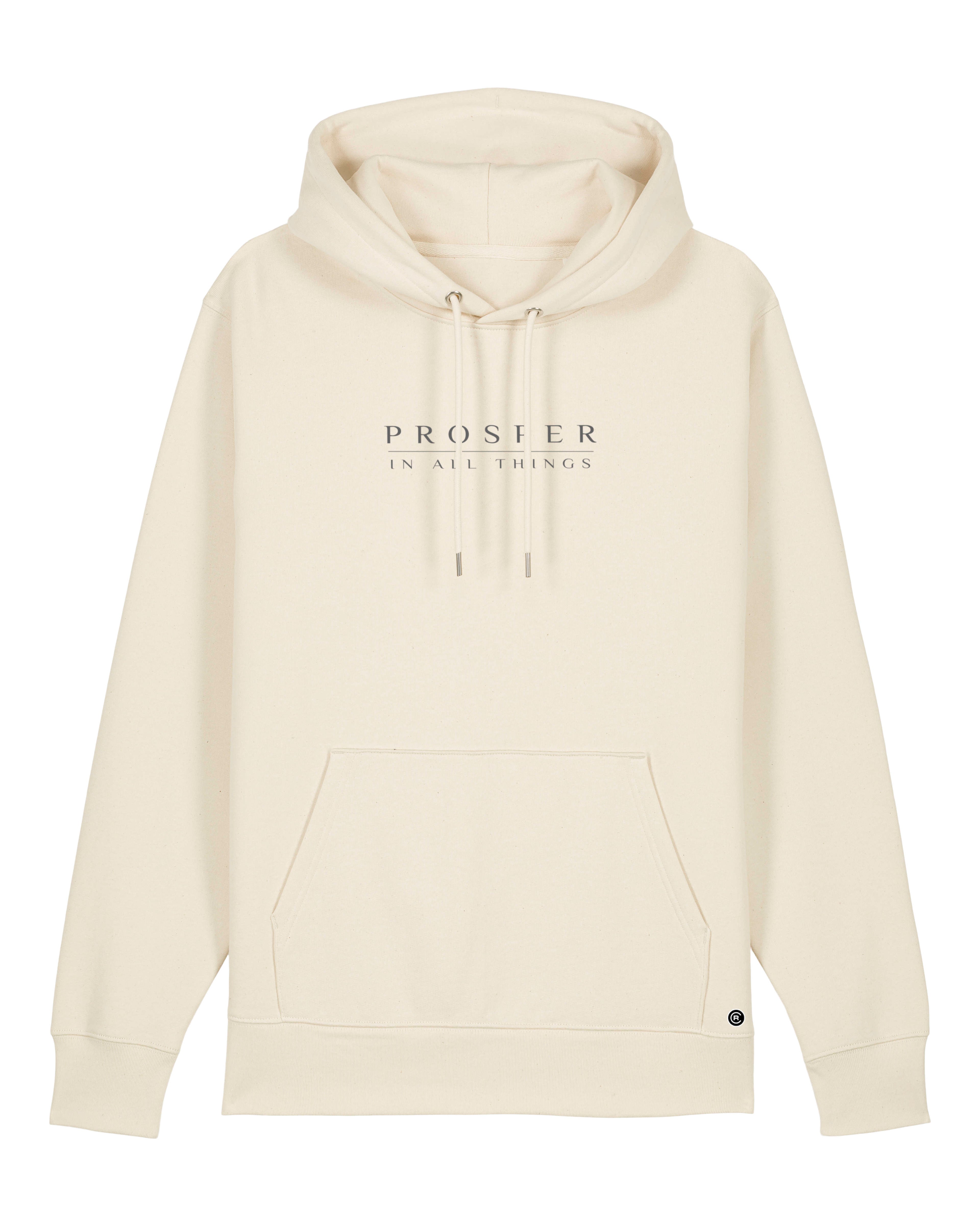 Prosper In All Things Hoodie