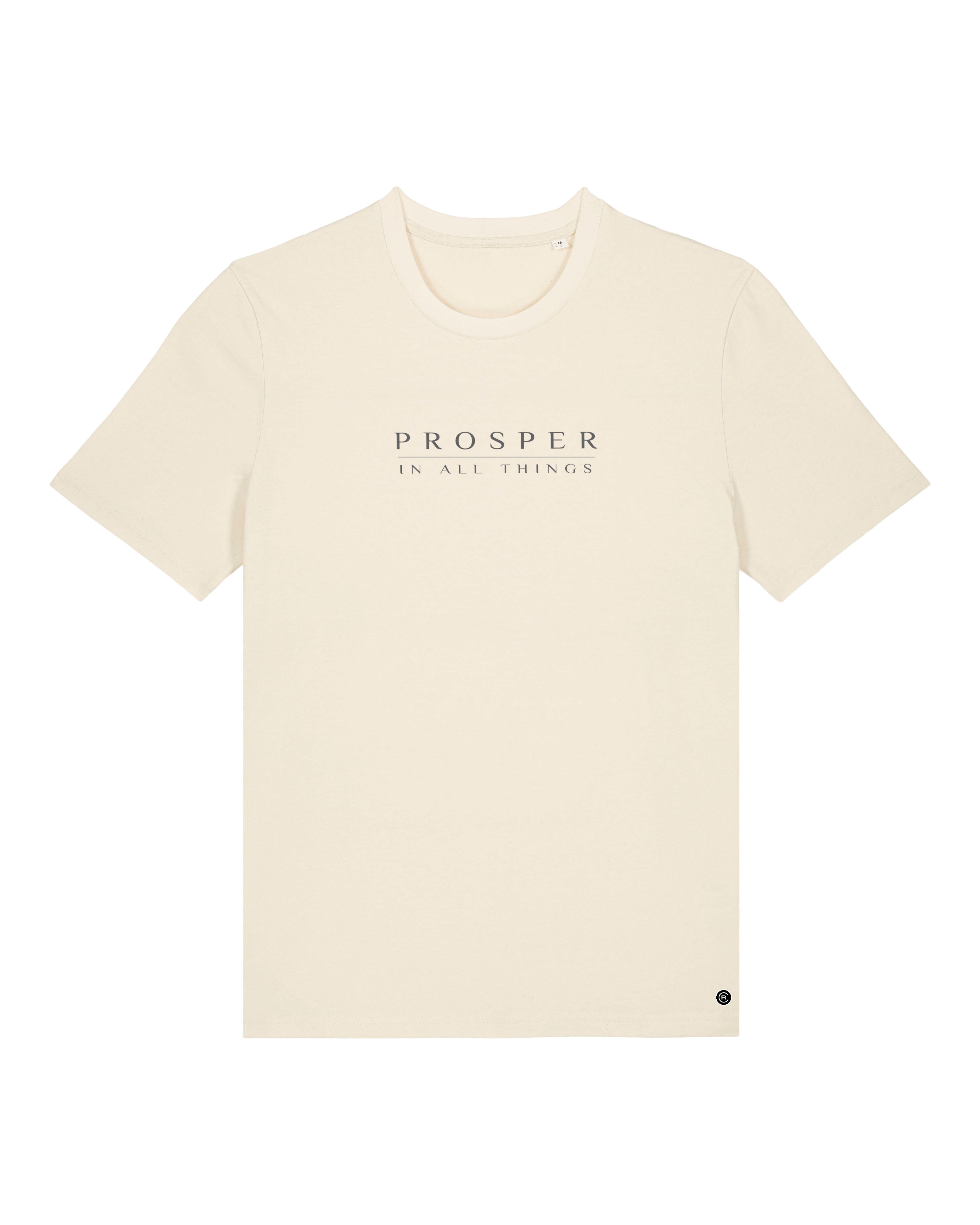 Prosper In All Things - T-shirt