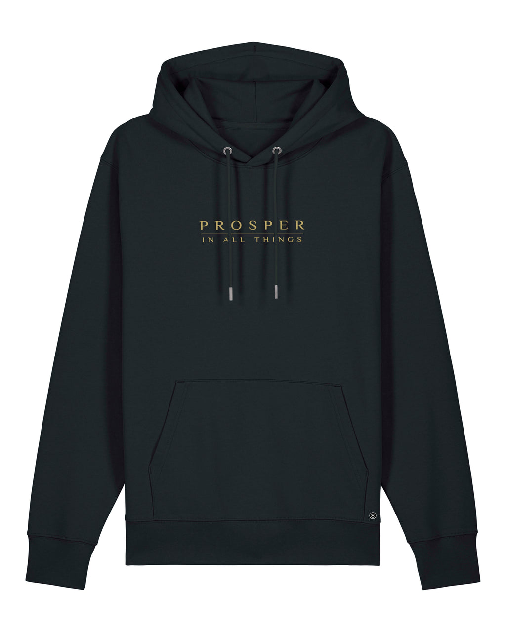 Prosper In All Things Hoodie