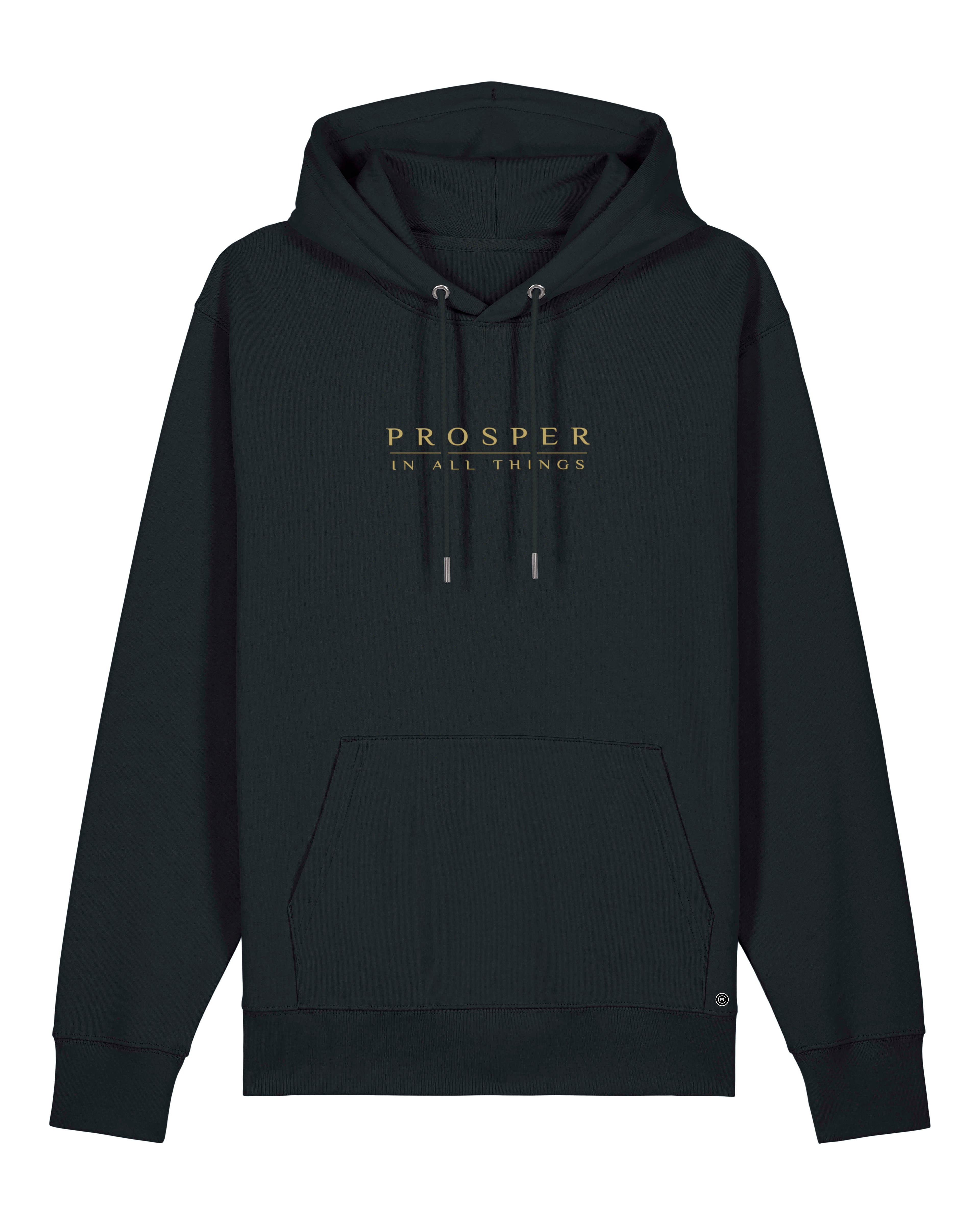 Prosper In All Things Hoodie