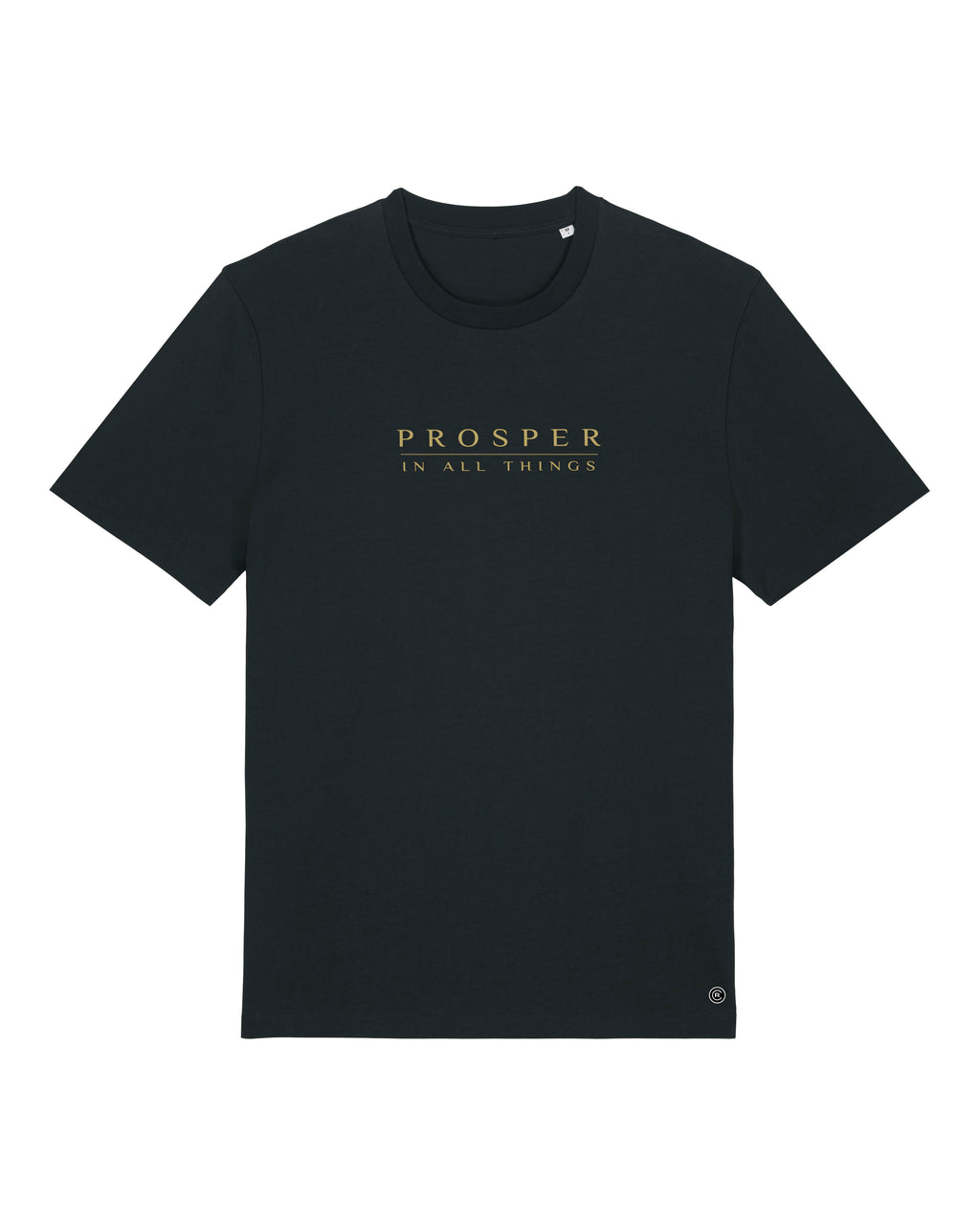 Prosper In All Things - T-shirt