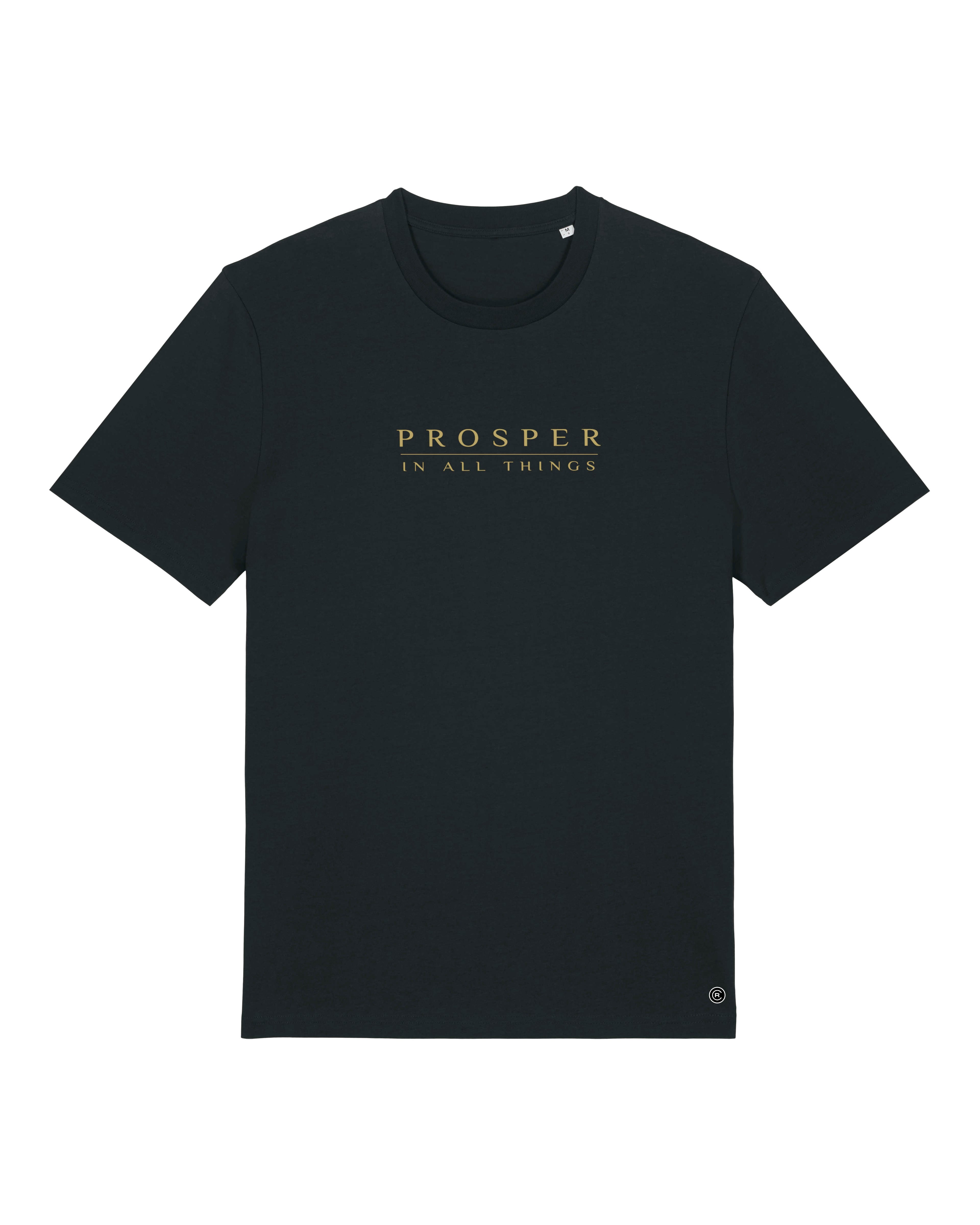 Prosper In All Things - T-shirt