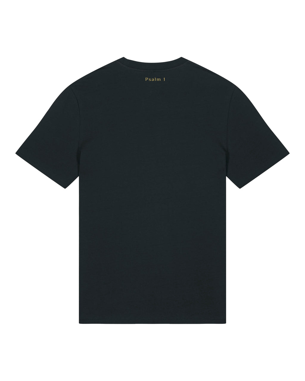 Prosper In All Things - T-shirt