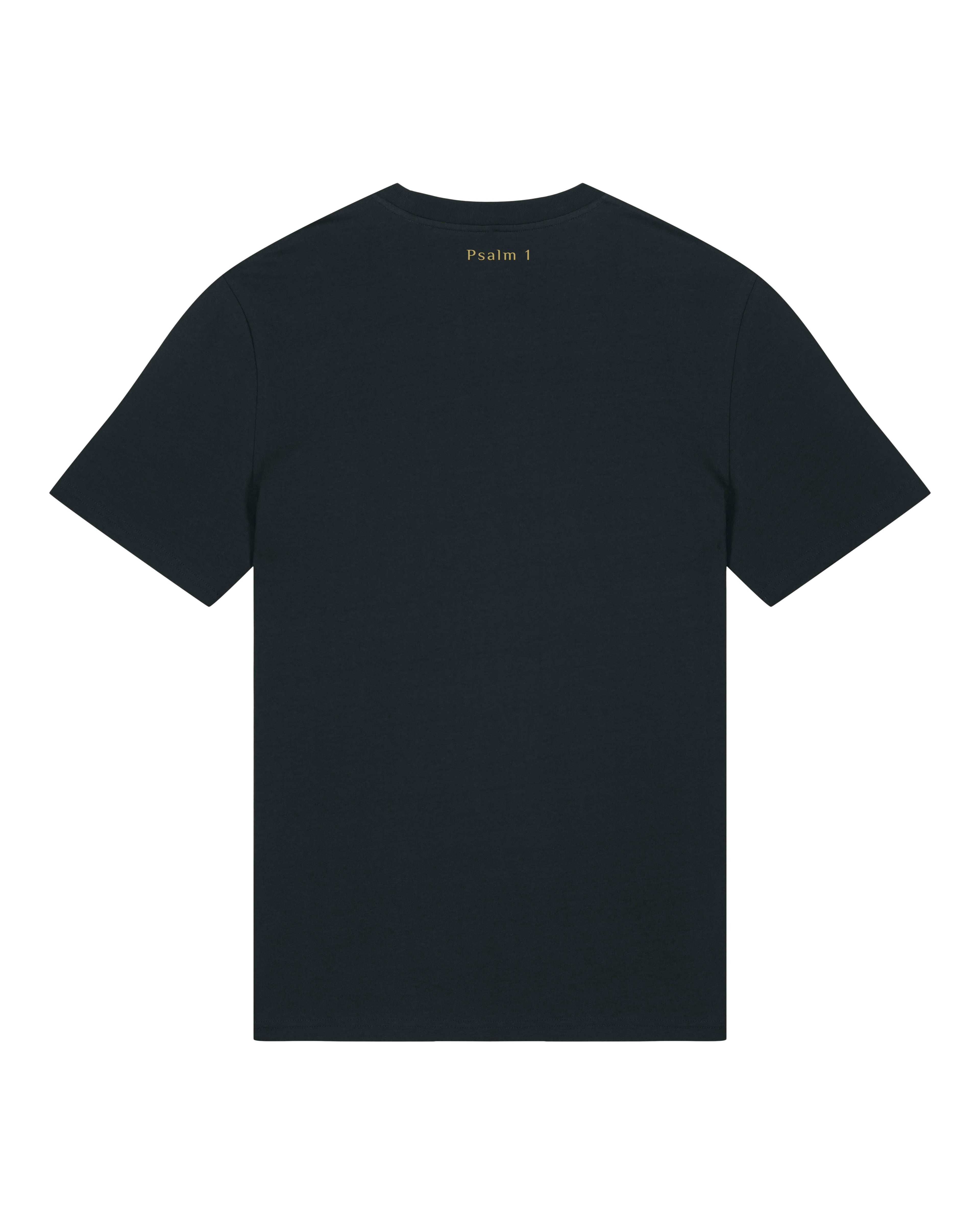 Prosper In All Things - T-shirt